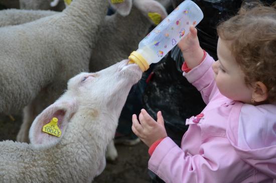 Ferme Pédagogique de Woimbey