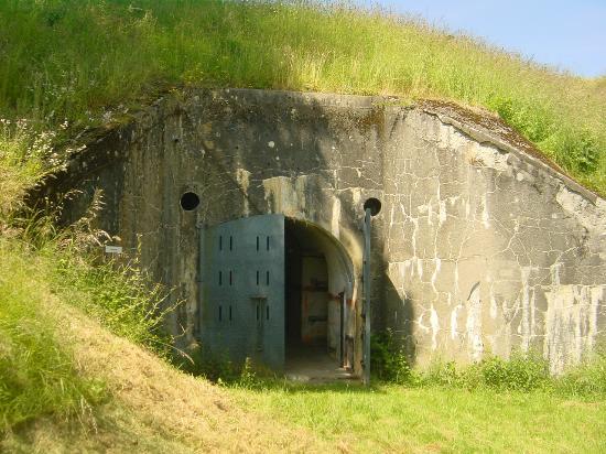 le fort d'Uxegney