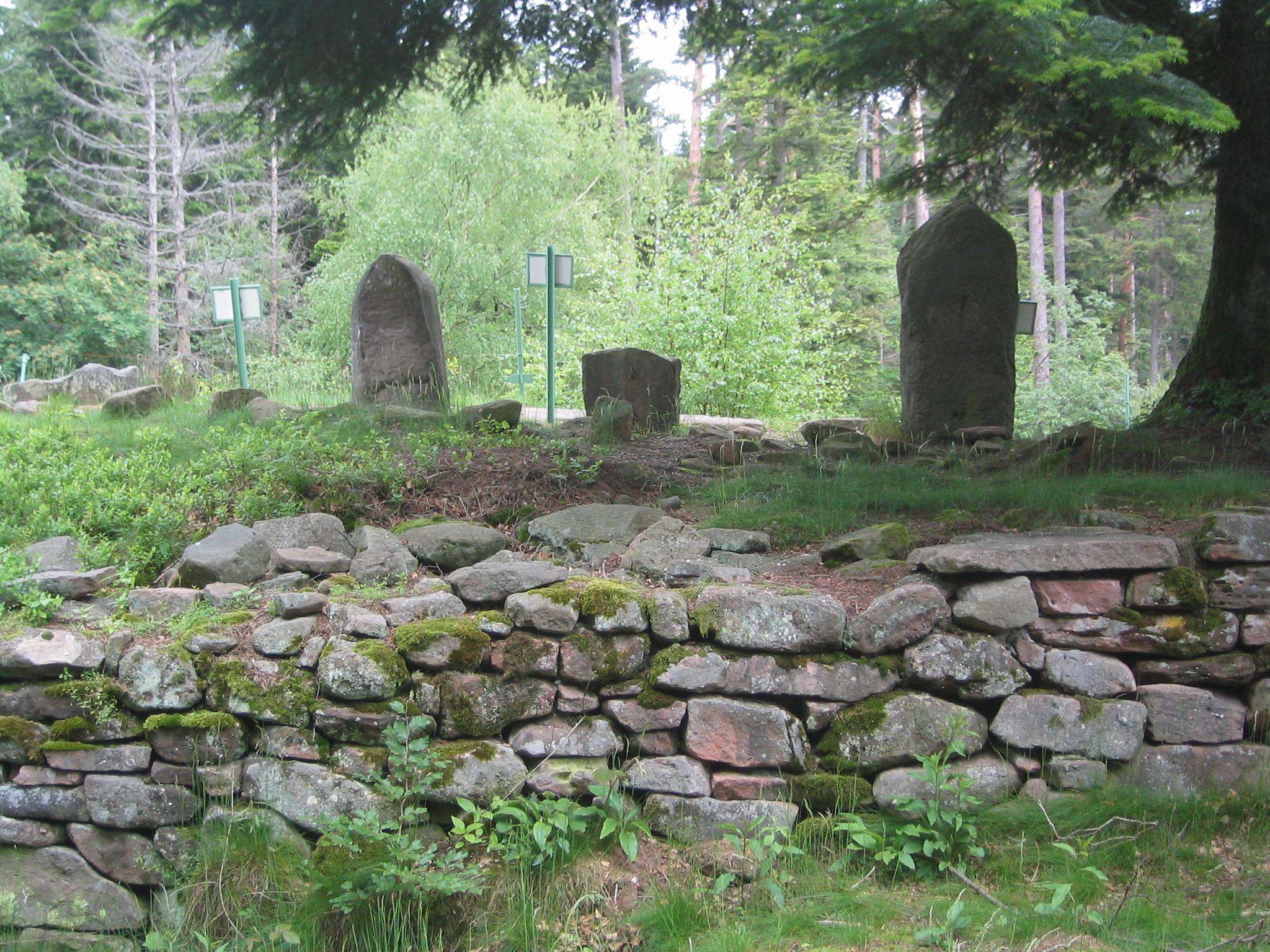 Oppidum Celtique