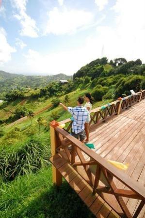 Belmont Lookout